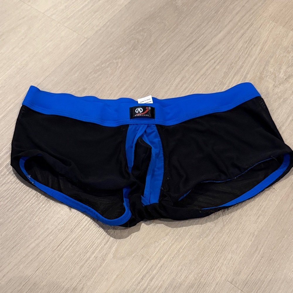 Black and Blue Men's Mesh Briefs